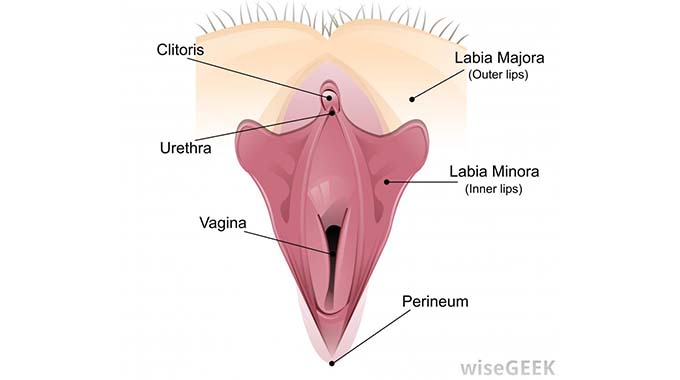 Agony of having one’s labia minora elongated