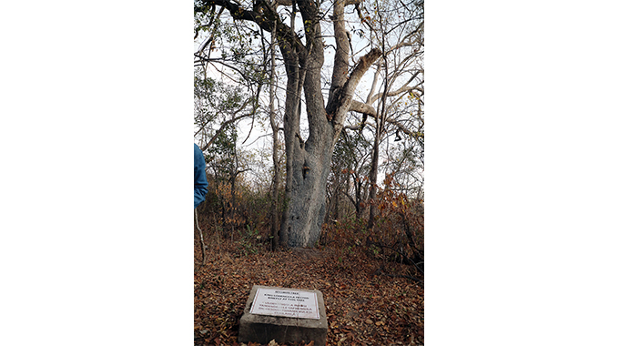 Pupu memorial nears completion