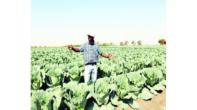 Climate-smart approach transforms Beitbridge horticulture farming