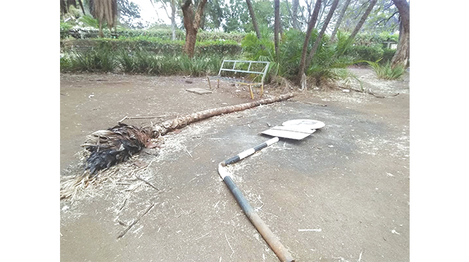 Gweru Civic Centre Gardens: From wedding venue to vagrants’ paradise