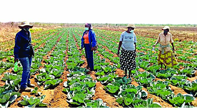 Mat South irrigation schemes reserve land for fodder
