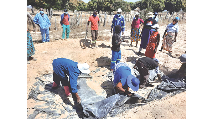 Supplementary feeding transforms Shurugwi livestock farming