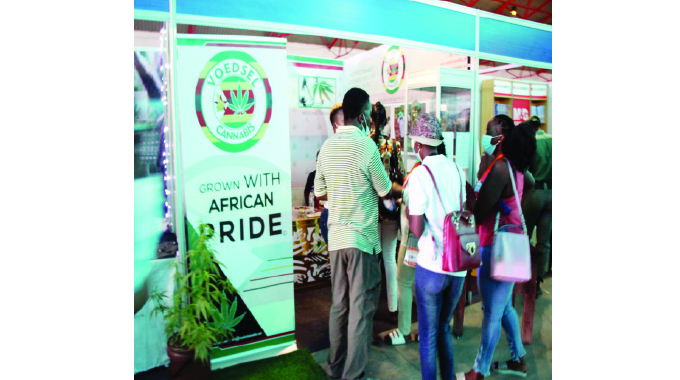 WATCH: Marijuana at ZITF