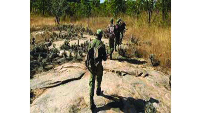 Ranger presence reduced, poaching activities increase