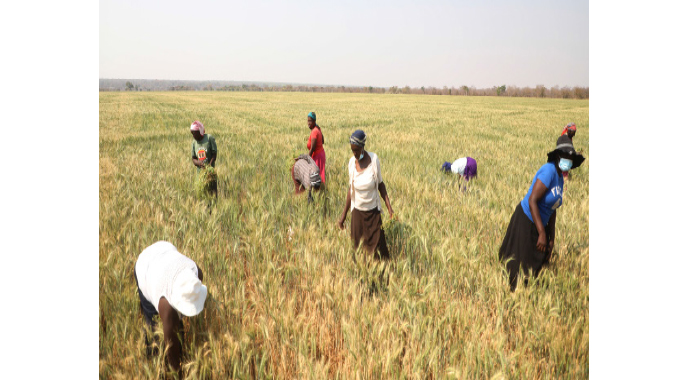 Govt makes sure irrigation schemes are fully productive