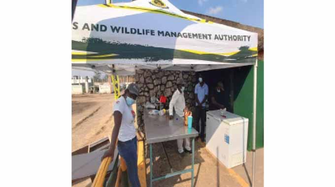 Matabeleland North Agriculture Show kicks off