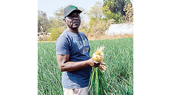 One million onions farmer praises Command Agriculture