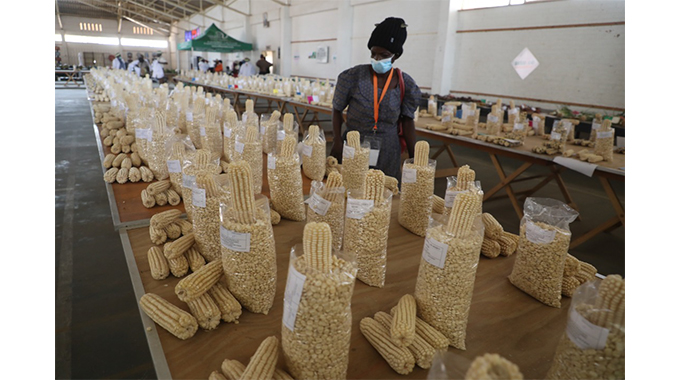 Bubi granny showcases Intwasa glory at ZITF