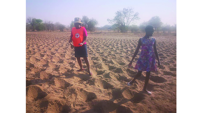 ‘All farmers are equal under Intwasa’