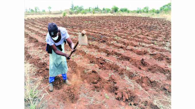 Byo urban farmers to get agric inputs