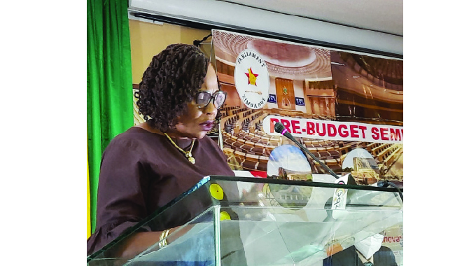 Digitisation project needs US$71 million