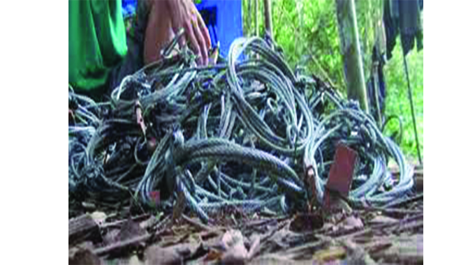 Suspended sentences for wire snare poachers