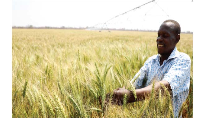 Bubi-Lupane Irrigation Scheme basks in improved capacity