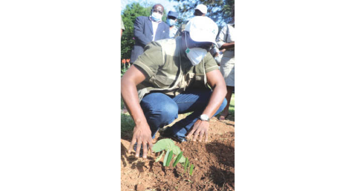 Tree planting — Everyone’s responsibility
