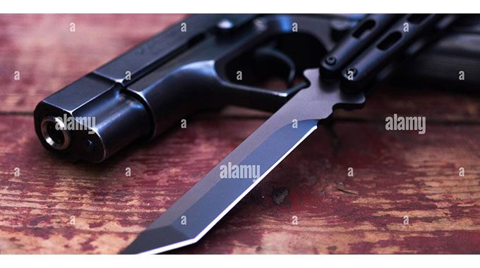 Armed robbers get away with US$6 000 and R11 600