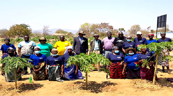 LATEST: CCARDESA/GCCA project surpasses expectations in Zimbabwe