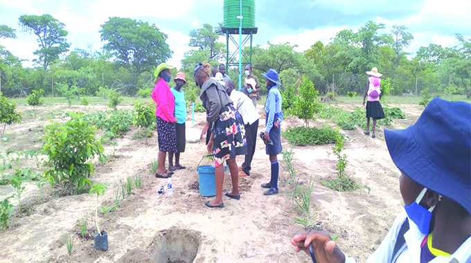 Solar powered water system brings hope to Unity Garden project