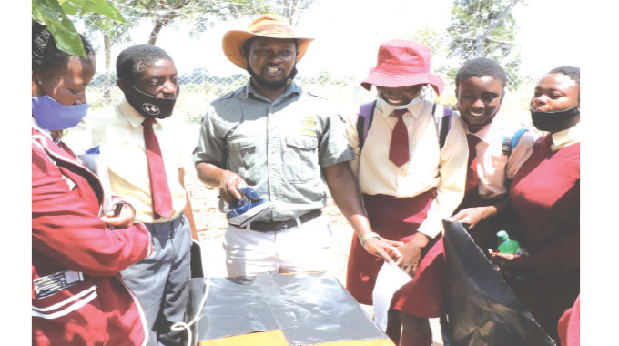 Magwegwe High School agric project diversifies