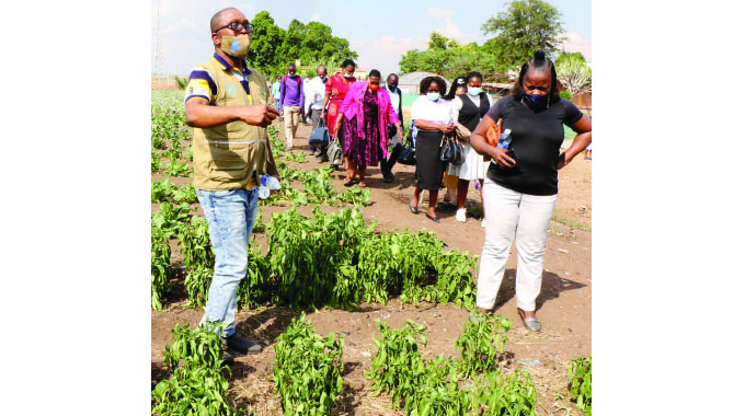 Feeding scheme keeps Gampu pupils in class