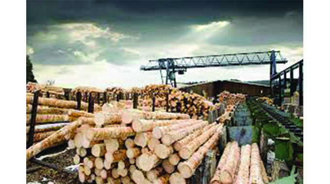 Border Timbers removed from judicial management