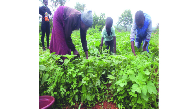 Edible indigenous plants sustaining rural families