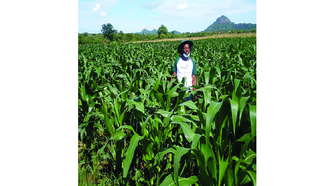 Midlands on course for bumper harvest