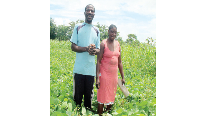 Rural farmers up yields through knowledge agricultural services
