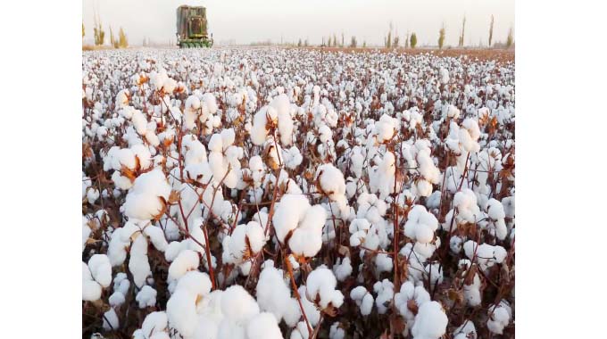 Farmers increase cotton deliveries