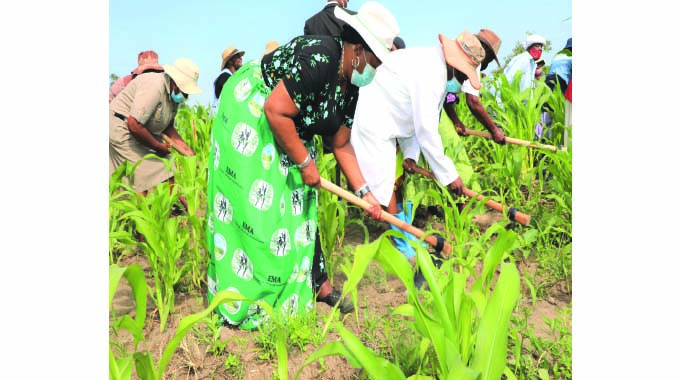 First Lady takes farming project to Byo . . . her hands-on approach charms beneficiaries