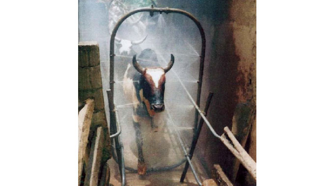 Prosecution for farmers with undipped cattle