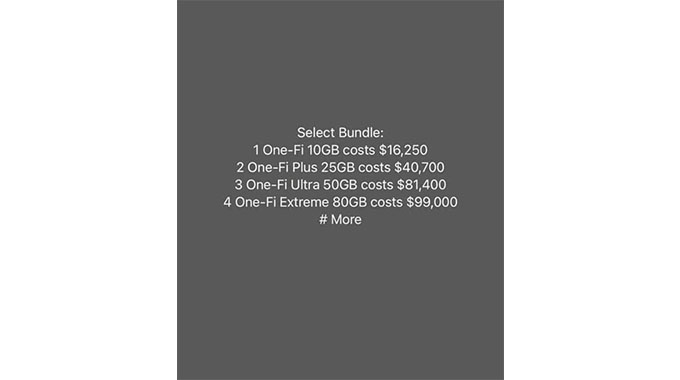 NetOne increases price of data by more than 100% – 80GB now costs $99 000