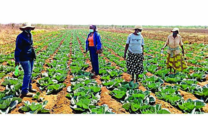 Gwanda farmers reject local currency