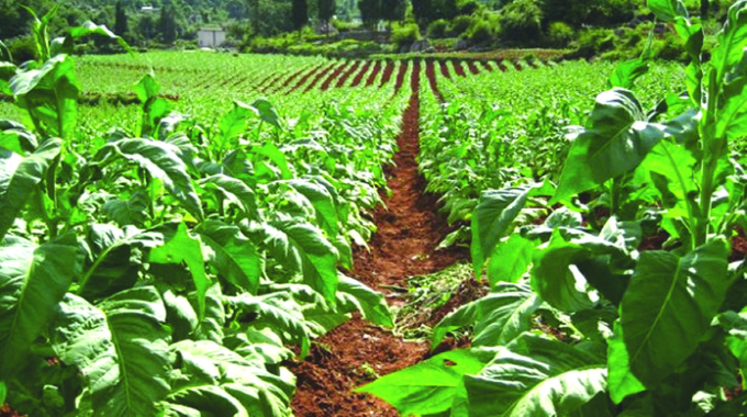 Creating wealth from land