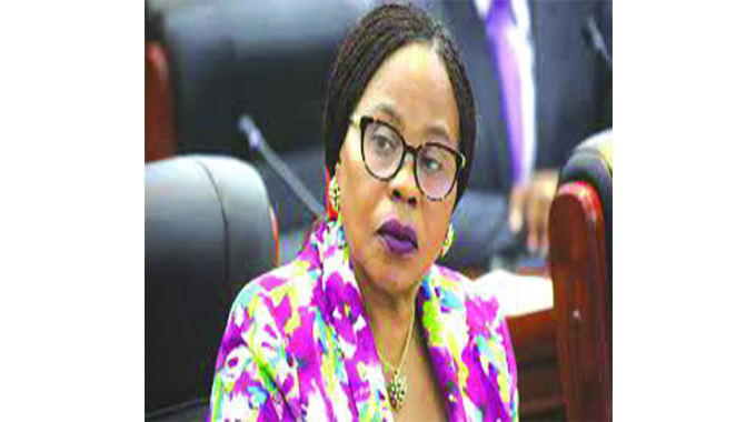COMMENT: Garikai/Hlalani Kuhle infrastructure fund most welcome