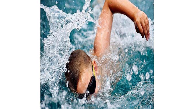 Stingrays win swimming championship gala