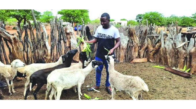 Mudau, man with strong passion for livestock farming from a tender age