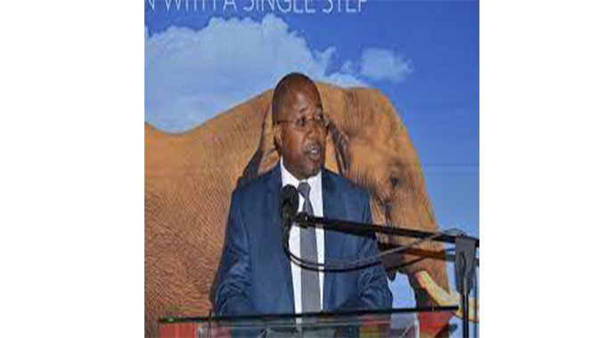 Infrastructure drive boosts PPC Zimbabwe operations