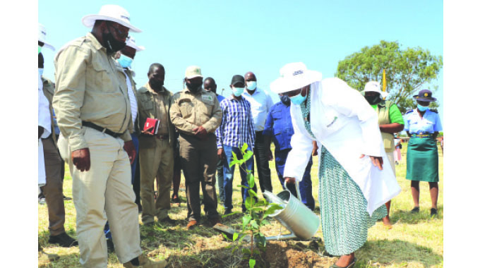 First Lady encourages planting and caring of trees