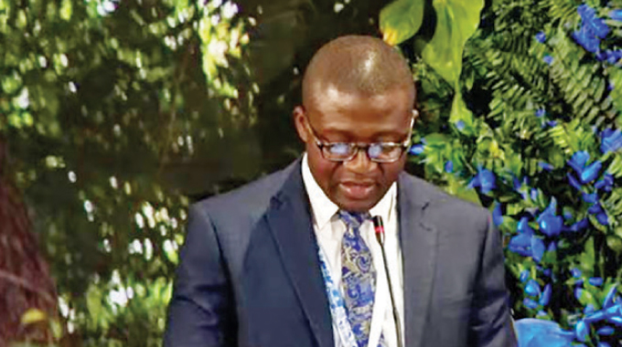 Zimbabwe seeks to address environmental issues through NDS1