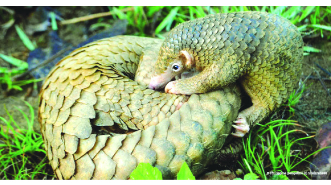 CITES to consider worldwide ban on wildlife trade