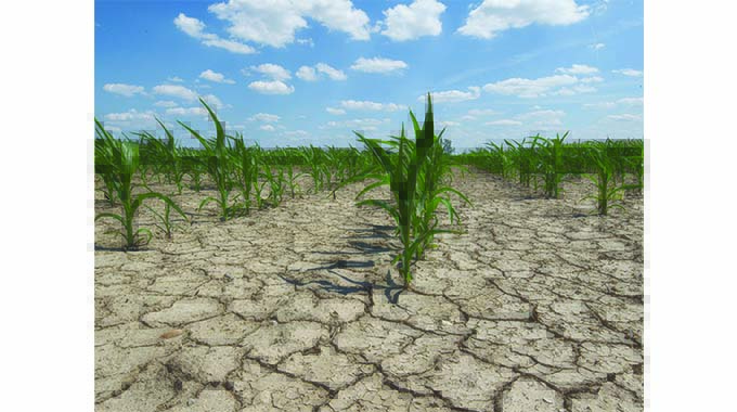 Dry spell poses double loss for farmers
