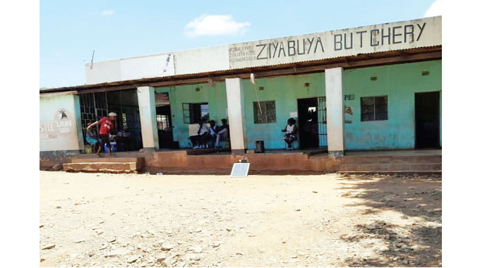 Churu farm: saving grace for homeless