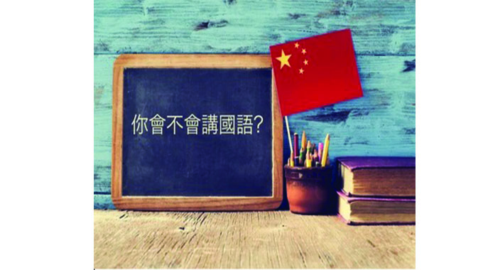 Zim students chase their dreams by learning Chinese