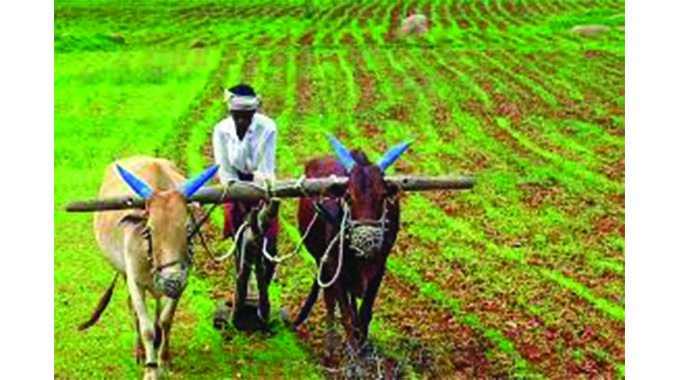 Young Women for ED take up agriculture