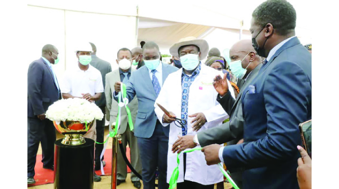 President urges private sector, diasporans to partner Govt