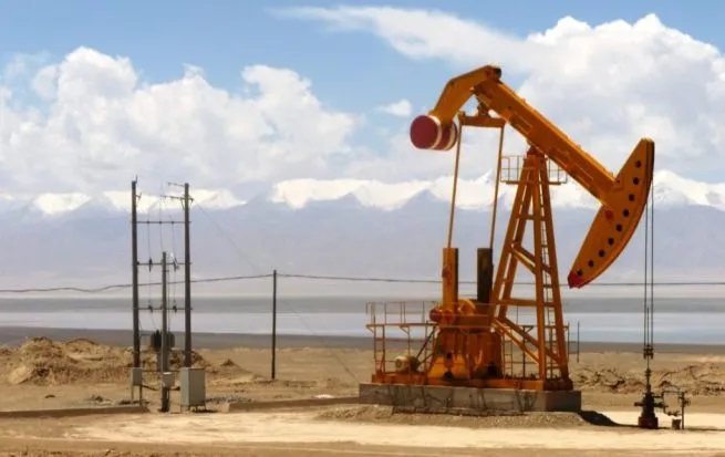 Muzarabani oil, gas project seismic survey data processing complete