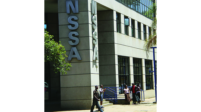 NSSA assets not fully utilised — minister