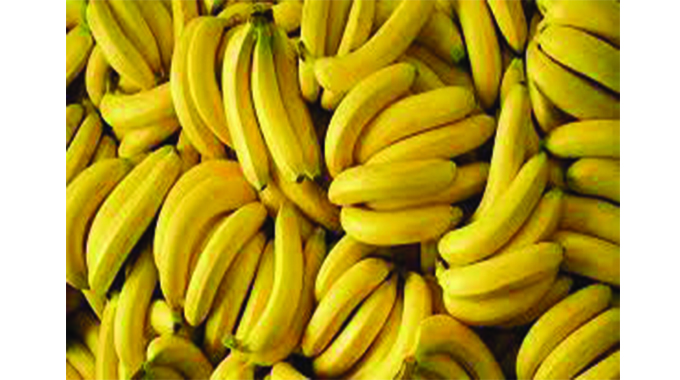 Value-add bananas to reap export earnings — ZimTrade