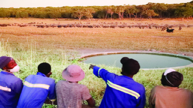 Elephant Summit stimulates Hwange tourism