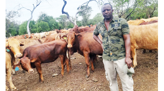 US$300 000 herd farmer